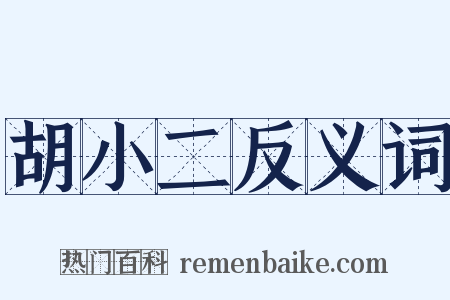 胡小二反义词是什么意思的图片